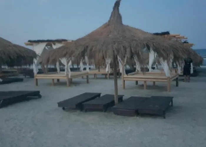 Garsoniera Papaya Apartment *