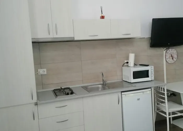 Garsoniera Papaya * Navodari